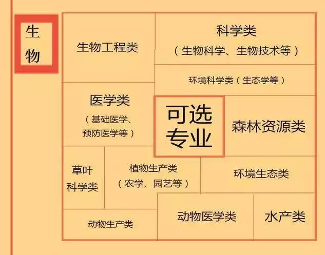 根據(jù)特長選專業(yè)，高中各門課程對應(yīng)大學(xué)專業(yè)實(shí)用盤點(diǎn)，志愿填報(bào)的你不可錯(cuò)過！