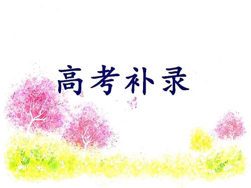 關(guān)于2019年中等職業(yè)學(xué)校招生補(bǔ)錄工作的通知